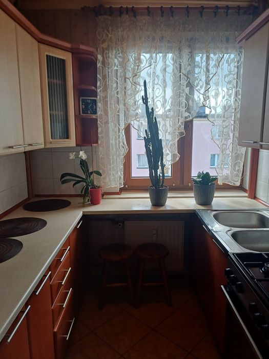 Wynajmę kawalerkę