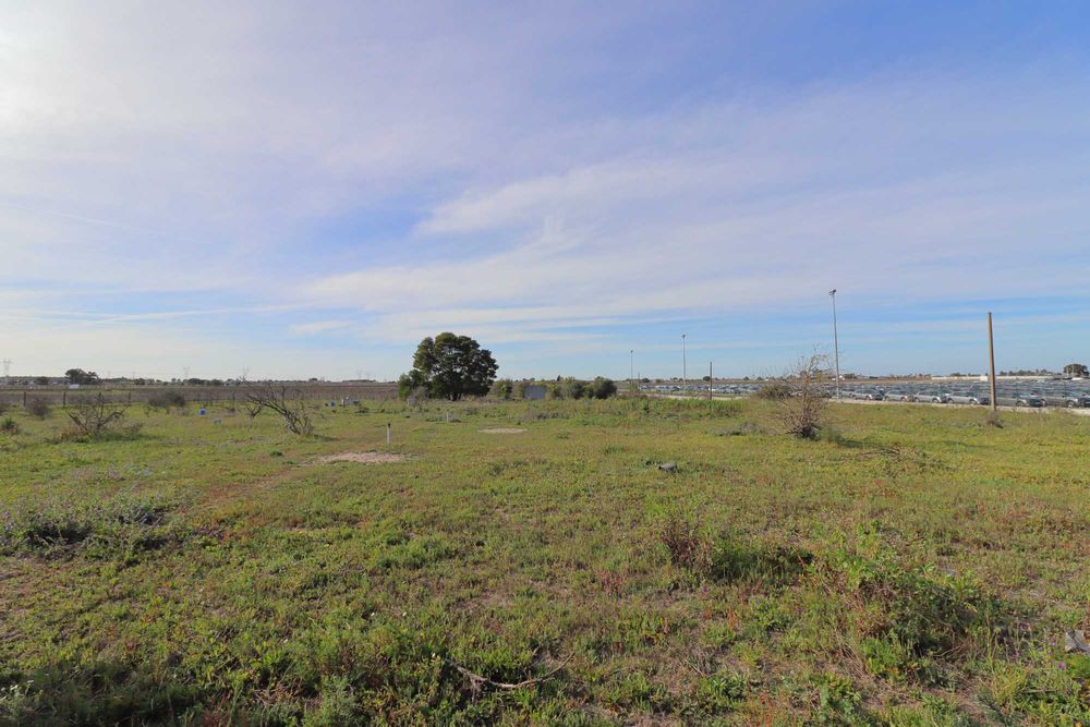 Terreno com 15.000 m2 em zona industrial, Palmela.