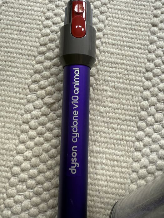 Dyson V10 Animal