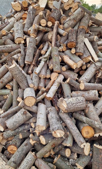 Drewno opałowe kominkowe