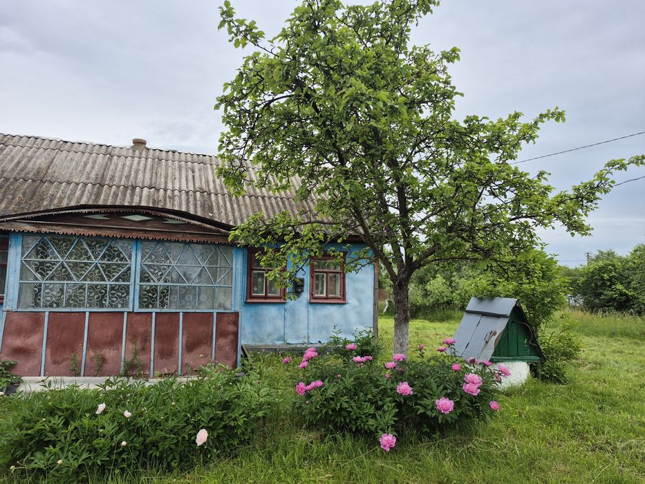 Продам будинок 52 кв.( 47 соток землі)