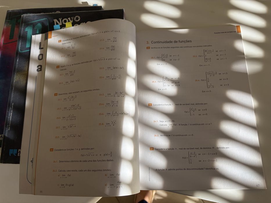 Manual e caderno de atividades 11 ano