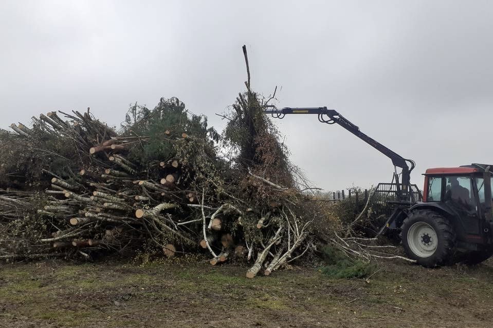 Wycinka Drzew,Alpinistyczna,Karczowanie,WyrywanieKorzeni ,Mulczer !!!