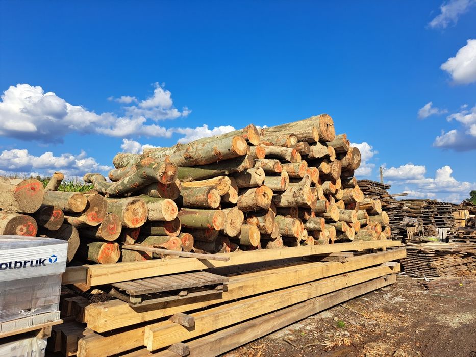 Drewno bukowe opałowe kominkowe