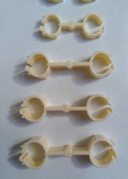 Algemas e anéis de correção para pássaro, ave, agapornis, canario