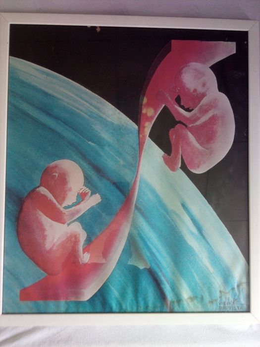 Quadro Vieira Baptista 75