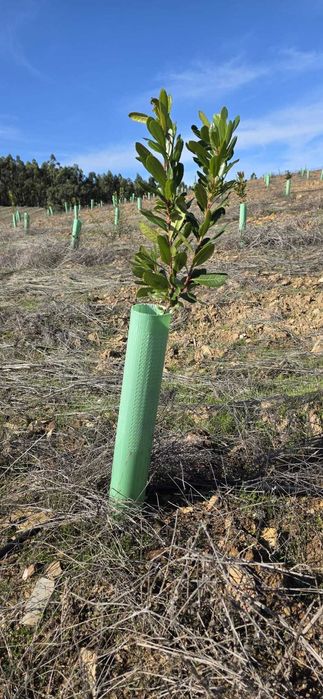 Tubo corrugado micro perfurado em polipropileno  diâmetro 10 cm
