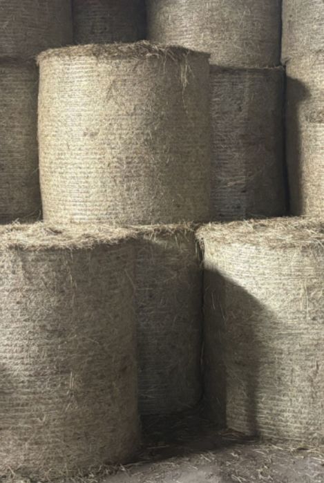 Sprzedam słome w balotach