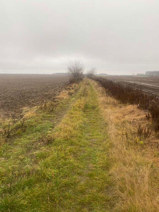 Продам пай в Колоденці 2.58 га.