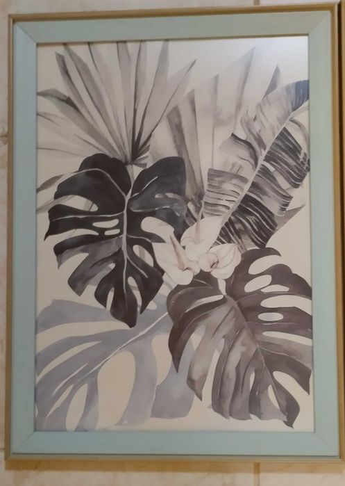 Frames 47x35 cm64730093366785122