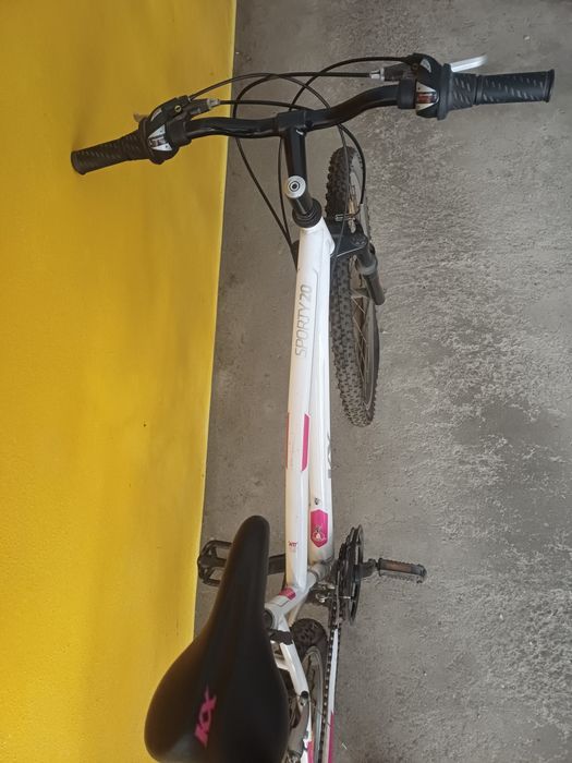 Bicicleta de montanha