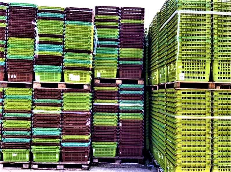 Pojemnik Skrzynka Plastikowa Kosz na Warzywa i Owoce Wytrzymała DUŻA