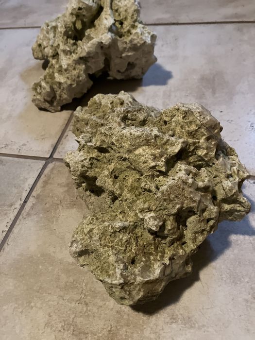 Kamienie wapienne Tanganika