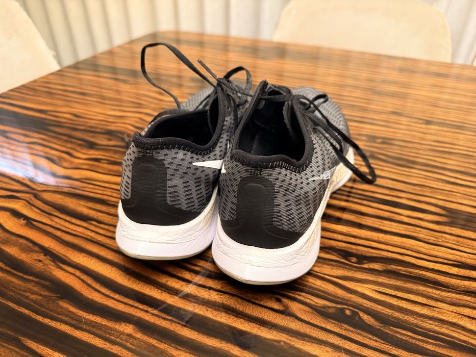 Nike Pegasus Turbo 2