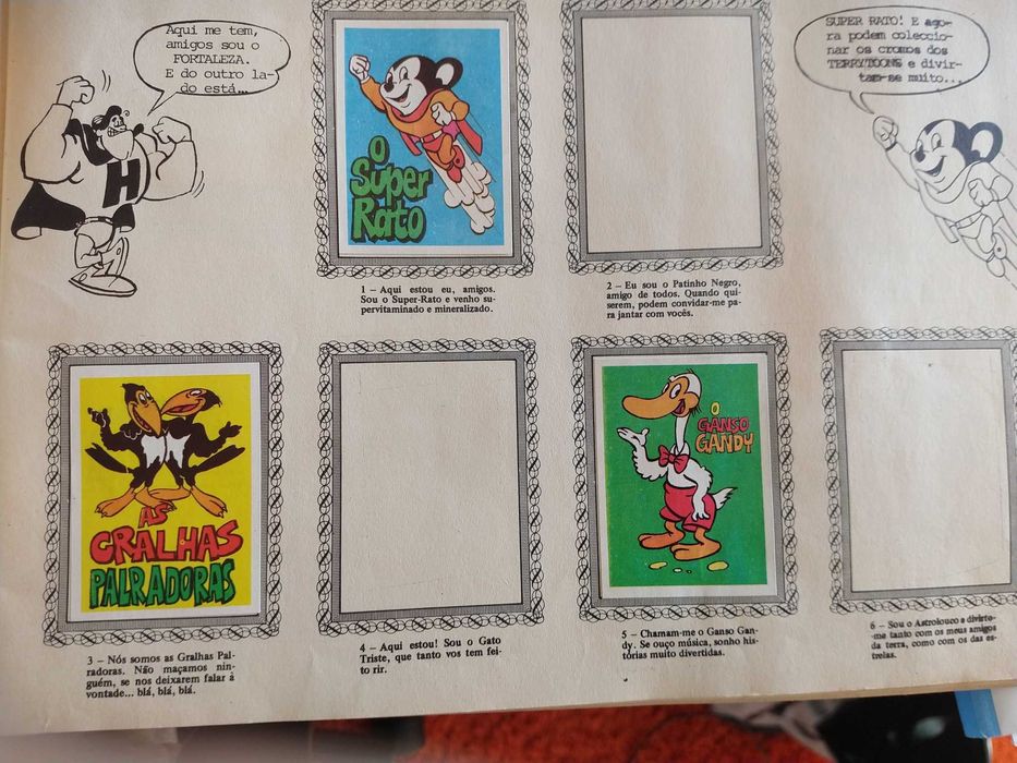 Caderneta Rara TerryToons
Os teus Amigos da TV
