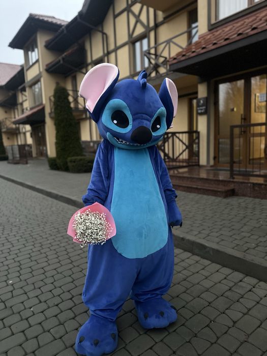 Аніматори на свято у Луцьку та області.