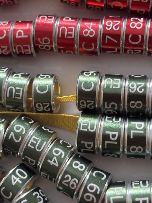 Metalowe obraczki dla gołębi ozdobnych 7mm i 8 mm na 2026r