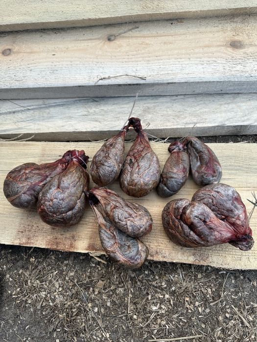 Продам боброву струю
