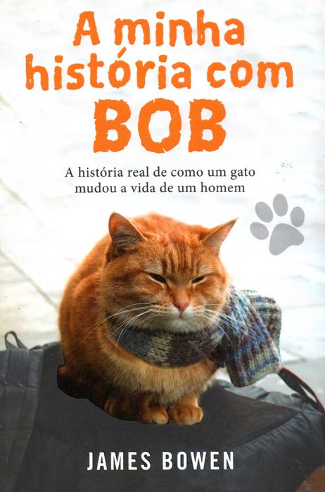 GATOS - Lote de livros sobre Gatos