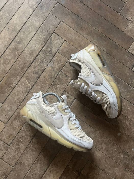 Кросівки Nike Air Max Terrascape 90 (41)