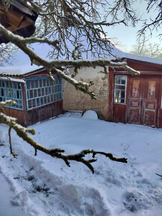 Продається будинок, в селі Бишів, Київська область.