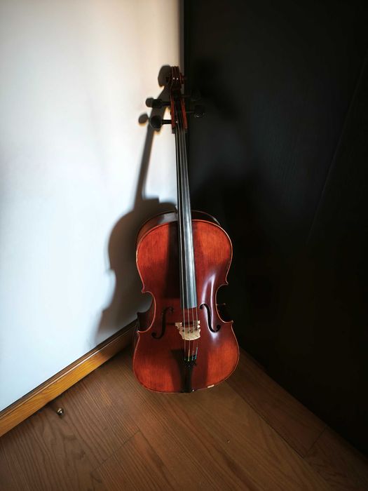 Vários Violoncelos Hofner, Carlo Giordano, Kreutzer, Palatino, etc