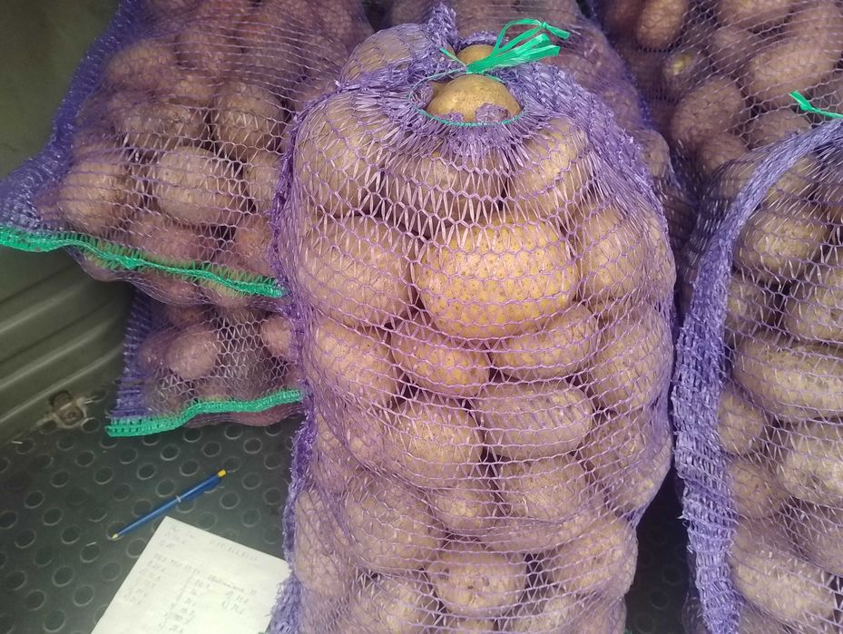 Продам картоплю домашню
