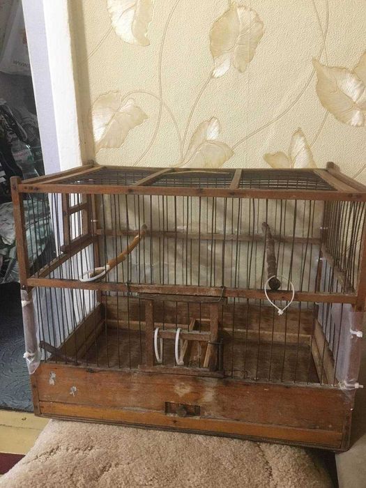 Большая клетка и маленькая