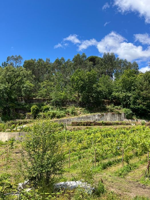 Vendo terreno ( dois artigos rusticos)e casa para reconstruir (artigo urbano)