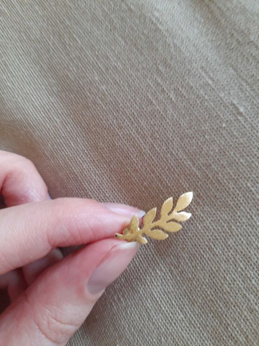 Brincos dourados em prata