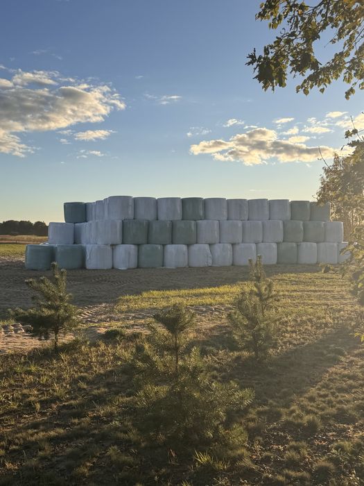 Sprzedam bele sianokiszonki