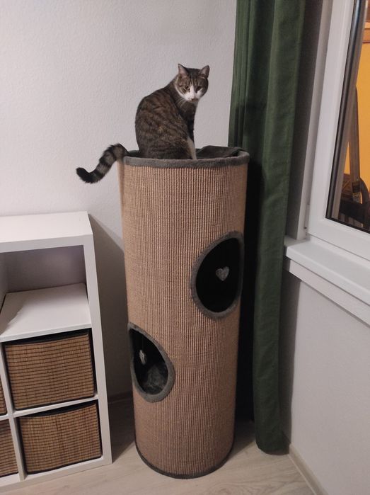 Wieża drapak Anione Tobi XL 140 cm