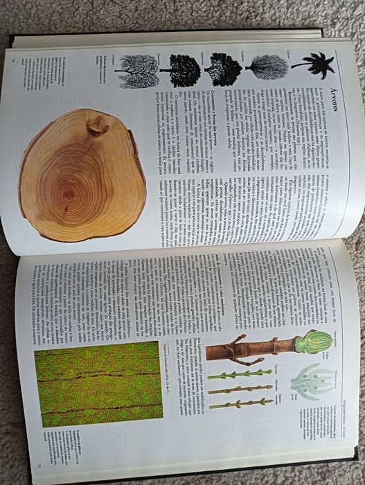 As Plantas - Ardley, Neil ; Matthews, Robert  como novo!