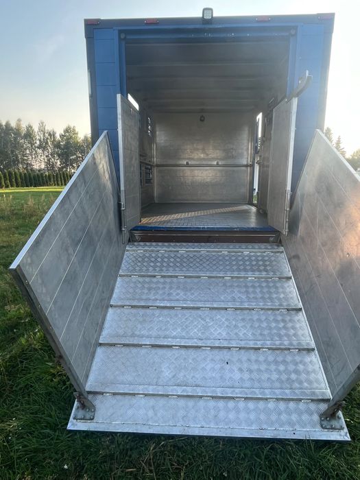 Iveco Dayli do transportu zwierząt żywca