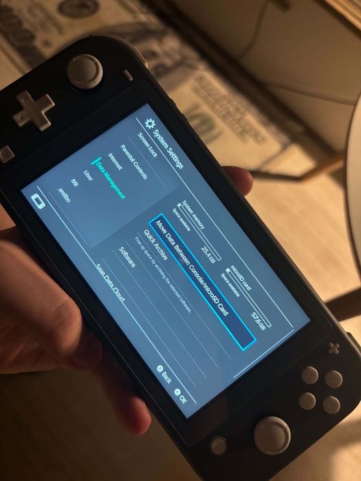 Nintendo switch little