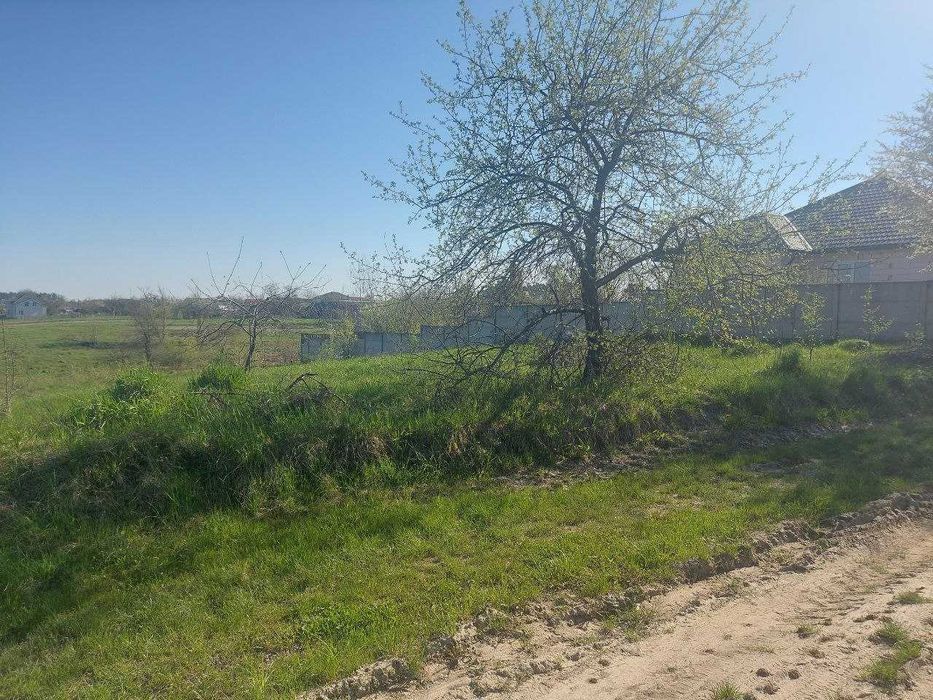 Ділянка 10 соток в Скоморохах (26111032)