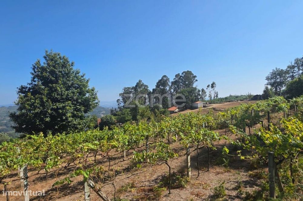 Terreno para construção em Rio Mau- Vila Verde