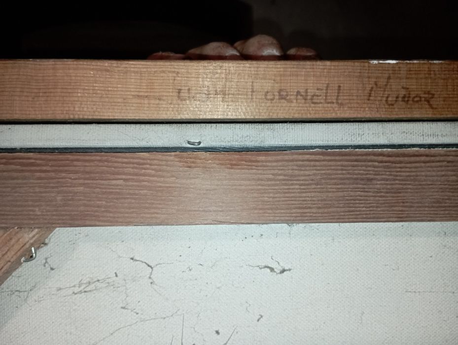 Obraz 158cm na 127cm