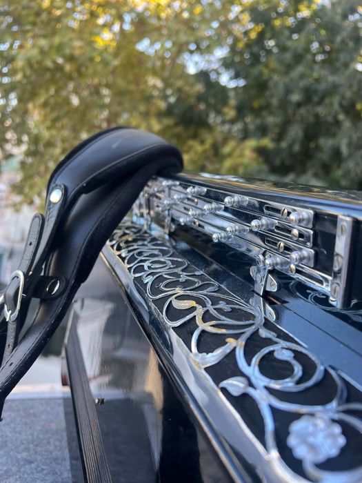 Acordeão Cavagnolo à 4a Voz, 120 baixos — Bom Estado - Com saco e correias novas