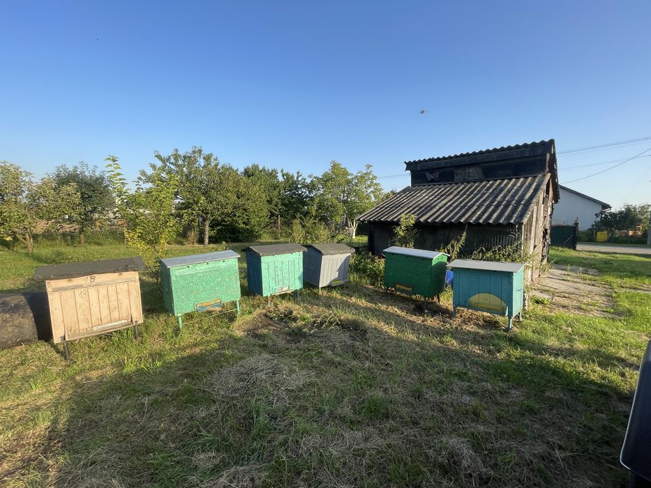 Sprzedam ule wielkopolskie leżaki