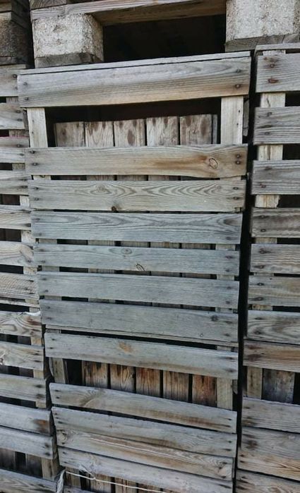 Skrzynki jedynki kapusta pekińska