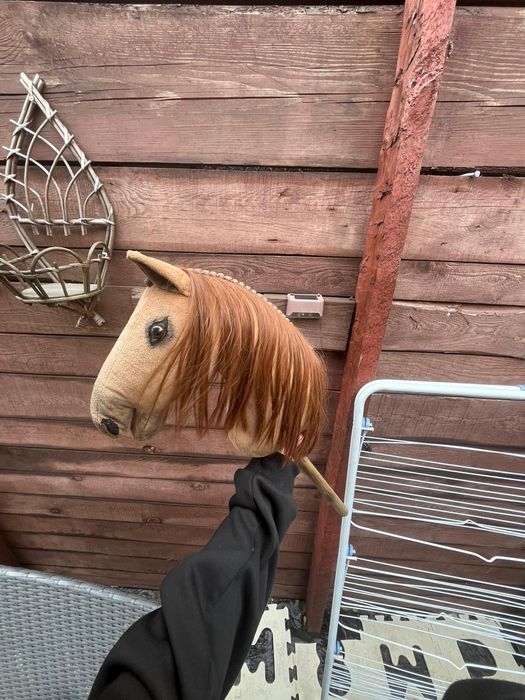 Sprzedam konika Hobby horse