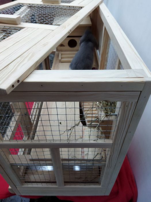 Клітка-будинок для морських свинок.