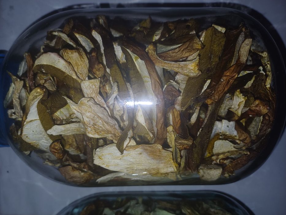 Гриби білі сушені