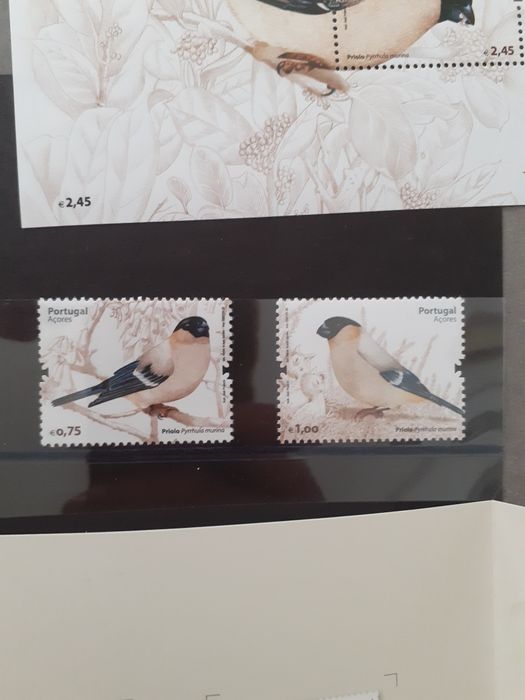 Selos CTT,.priolo 2008