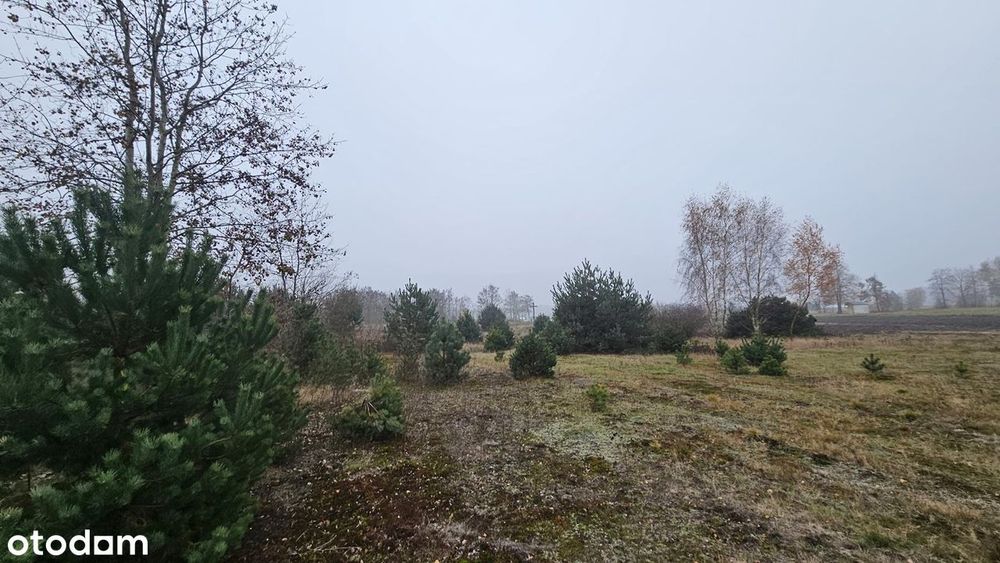 Działka o powierzchni 16800 m2