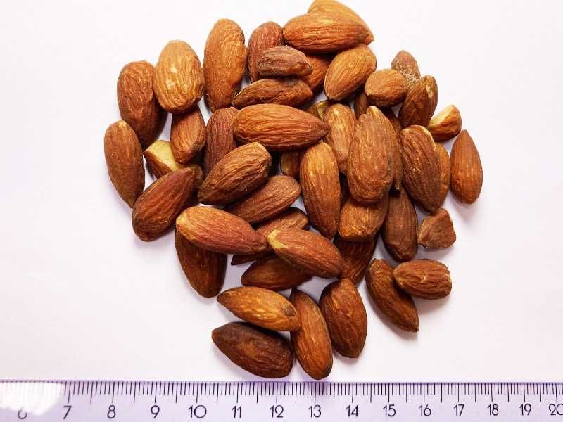 Migdały wędzone solone 5 kg Nowość idealne dla vegan