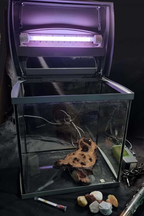 Aquário 30 Litros da Tetra, kit completo