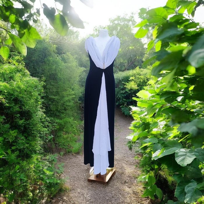 Ikona Elegancji : Vintage Black & Withe Velvet Gown