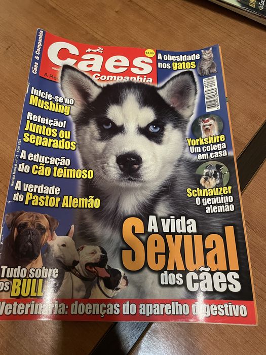 Revistas antigas sobre cães